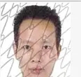 向张 向张