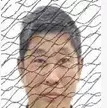 文华 文华