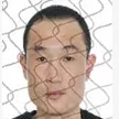 王科 王科