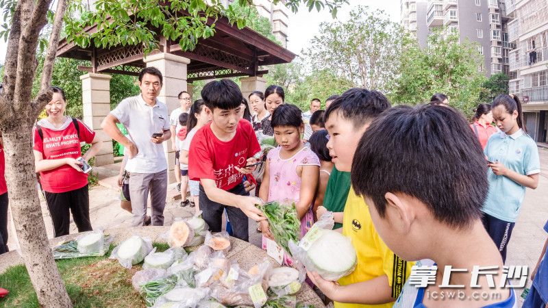 8月9日，由长沙理工大学“菜菜农业”实践团队带领小学生开展的“小小菜农”爱心义卖活动”在天心区领秀金都小区开展。长沙晚报通讯员 喻玲 摄