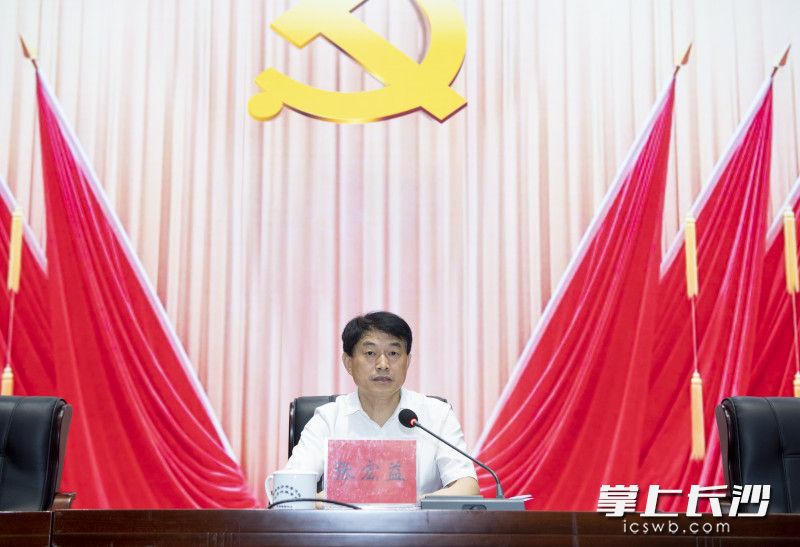 市委常委、市委组织部部长张宏益作动员讲话。长沙晚报全媒体记者 邹麟 摄