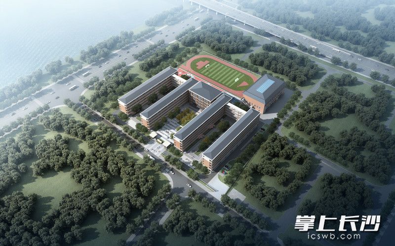 效果图 效果图