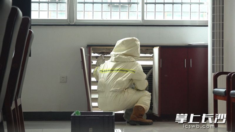 消防员一天连摘5个马蜂窝。 均为长沙晚报通讯员吴坤、唐鑫供图 消防员一天连摘5个马蜂窝。 均为长沙晚报通讯员吴坤、唐鑫供图