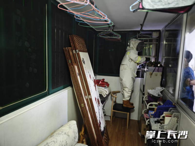 消防救援人员对隐藏在居民家中的马蜂窝进行了精准摘除。长沙晚报通讯员 余娜娜 供图 消防救援人员对隐藏在居民家中的马蜂窝进行了精准摘除。长沙晚报通讯员 余娜娜 供图
