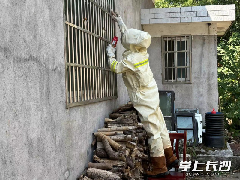 马蜂窝“驻扎”在村民住宅附近,消防紧急摘除。 长沙晚报通讯员 潘伟强 供图 马蜂窝“驻扎”在村民住宅附近,消防紧急摘除。 长沙晚报通讯员 潘伟强 供图