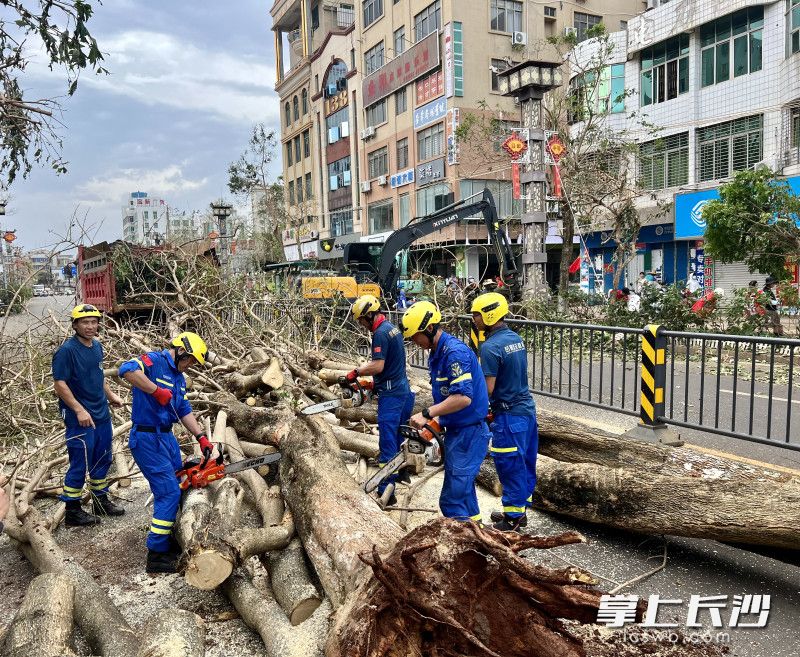 岳麓蓝天应急救援队队员在徐闻县街头清理路障。 岳麓蓝天应急救援队队员在徐闻县街头清理路障。