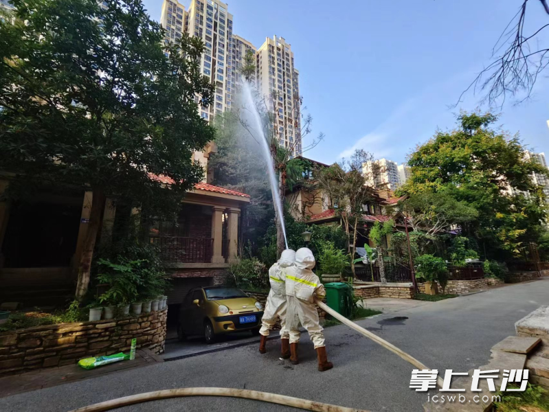 消防队员用水枪清除马蜂窝。