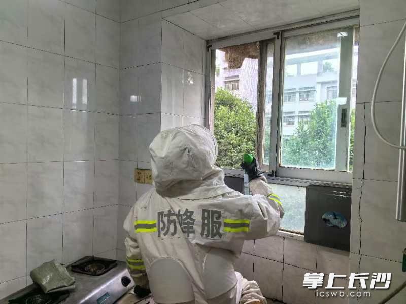 消防救援人员对马蜂窝进行消杀。 均为通讯员供图