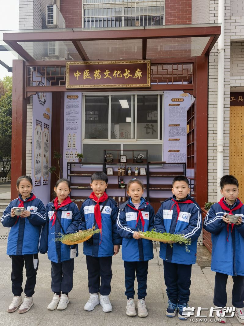 “小讲师”们手持荠菜、端着煮鸡蛋闪亮登场。 均为长沙晚报通讯员 柳思阳 申雪梅供图