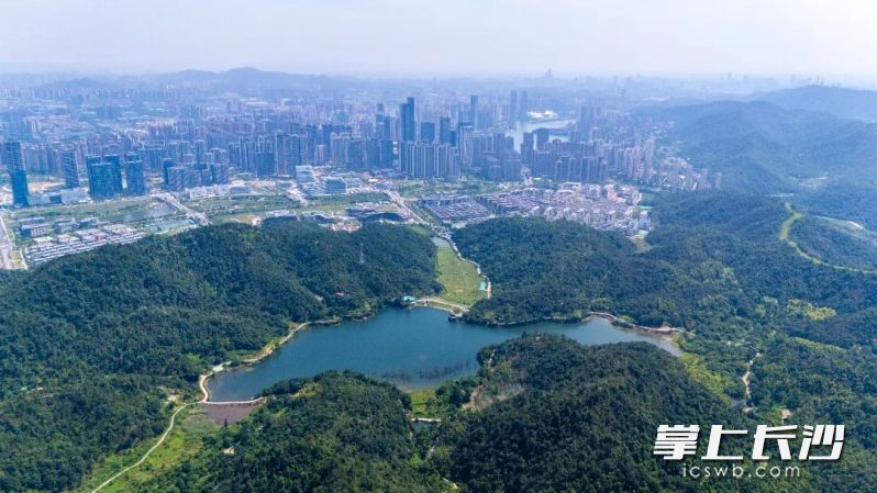 象鼻窝省级森林公园航拍图。 均为长沙晚报通讯员恭忱供图 象鼻窝省级森林公园航拍图。 均为长沙晚报通讯员恭忱供图