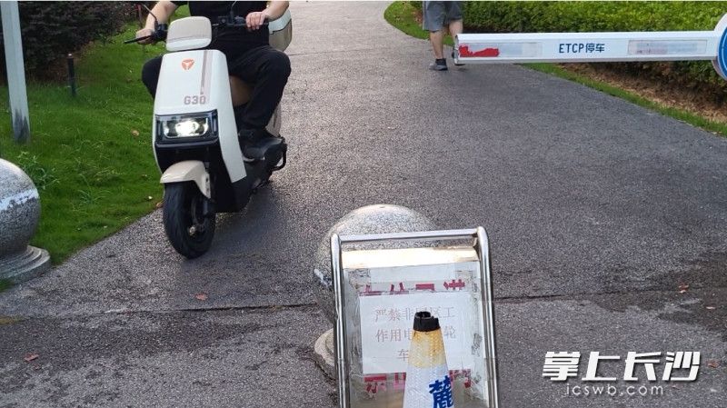 肆意穿行的电动车。