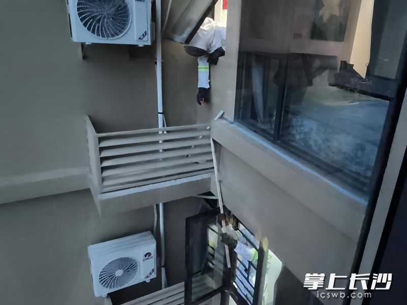 消防队员正在处置马蜂窝。 长沙晚报通讯员 王磊 摄