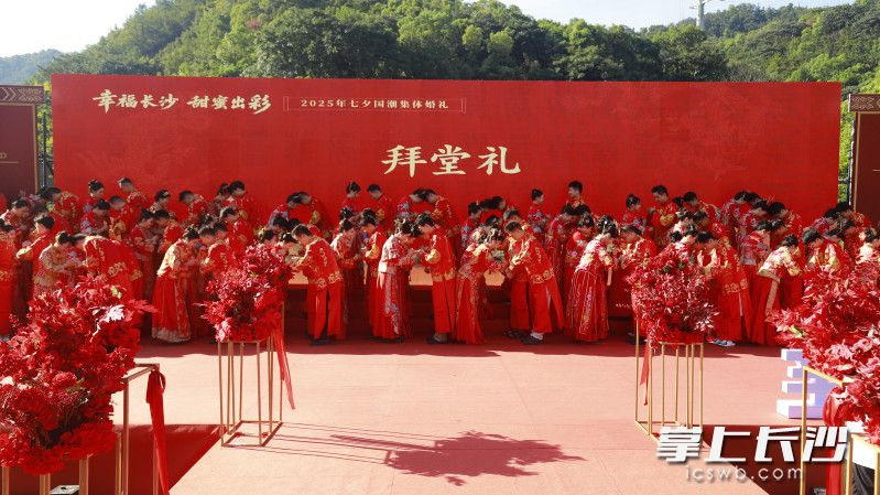 50对新人行拜堂礼。 长沙晚报全媒体记者 刘俊 摄 50对新人行拜堂礼。 长沙晚报全媒体记者 刘俊 摄