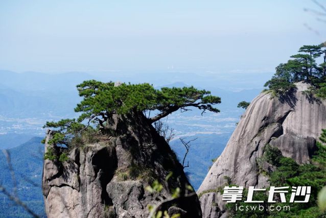 本周后半段，阳光将见缝插针“露脸”，市民朋友可安排户外活动。  长沙晚报全媒体记者 舒元臻 摄