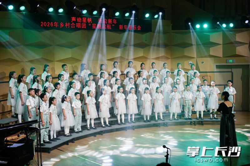 作为“星帆”计划具体执行单位，长沙市少年宫在活动中精准发力，通过“名师送教”“城乡结对”等方式，为乡村学校提供专业指导与资源支持，确保了“星帆”计划的高质量实施。