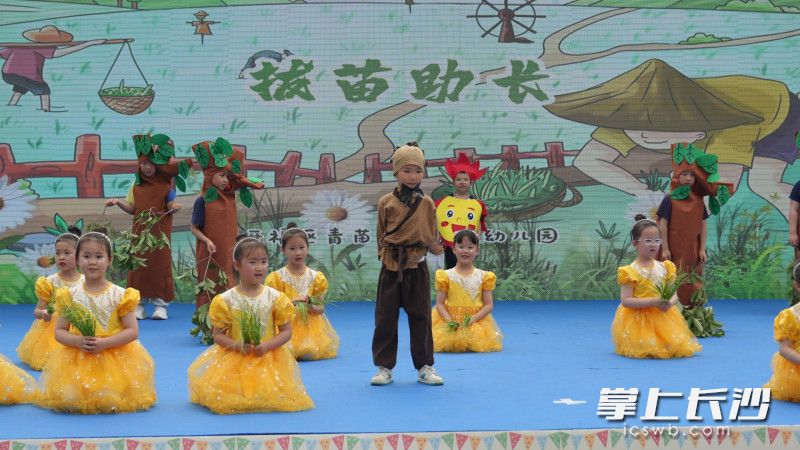 青苗荟咏江苑幼儿园的孩子们表演《拔苗助长》。 青苗荟咏江苑幼儿园的孩子们表演《拔苗助长》。