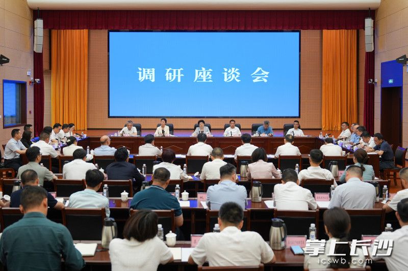 调研座谈会现场。均为长沙晚报全媒体记者 郭雨滴 摄
