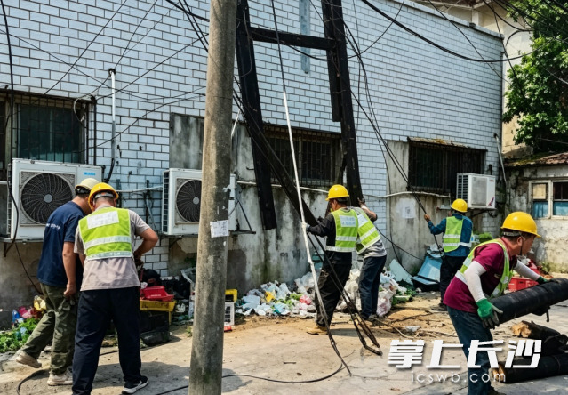 工作人员正在进行高危废弃木电杆拆除作业。均为长沙晚报通讯员 供图 工作人员正在进行高危废弃木电杆拆除作业。均为长沙晚报通讯员 供图