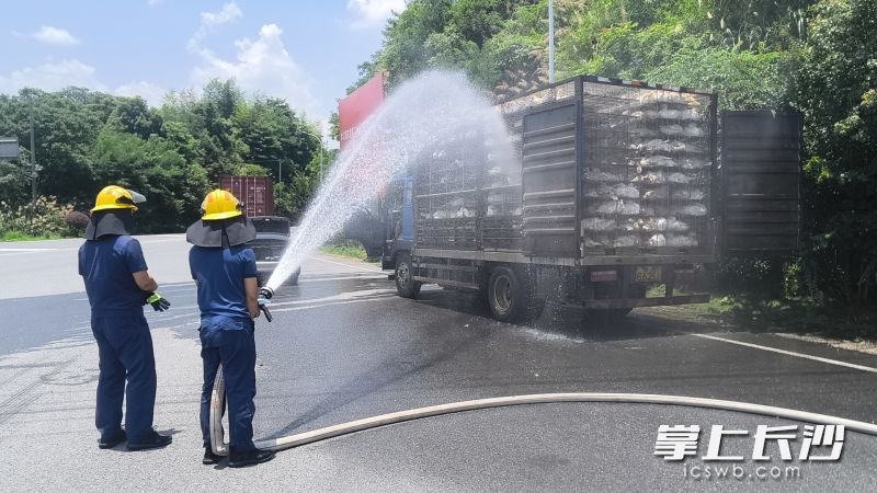 消防员给中暑鹅群洒水降温。 长沙晚报通讯员 王磊 摄 消防员给中暑鹅群洒水降温。 长沙晚报通讯员 王磊 摄