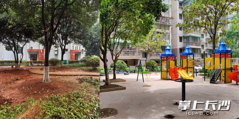 儿童乐园建成之前和建成之后。均为通讯员方谢莹 供图