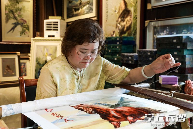 湘绣省级代表性传承人、紫金湘绣创始人徐向荣为长沙晚报创作湘绣《奔马图》。 均为长沙晚报全媒体记者董阳摄