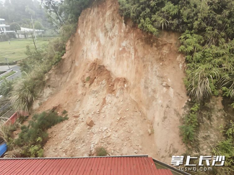 易家屋后山体滑坡现场。通讯员供图