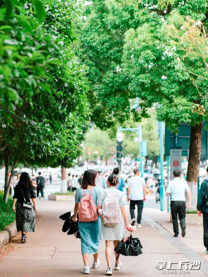 麓山南路的沿街烟火，是大学生活最鲜活的注脚。
