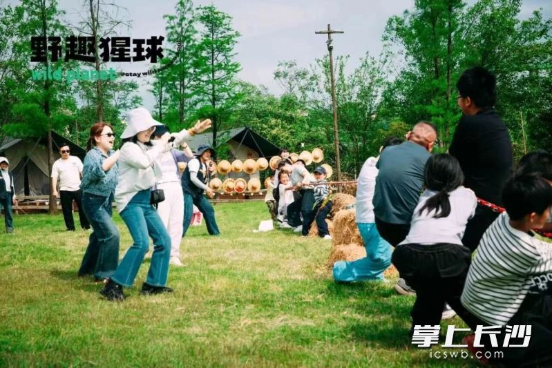 莲花镇的民宿集群藏在层峦山野间。