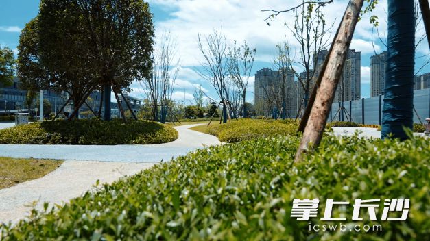 潭州大道侧新建绿道,为周边居民休闲散步提供舒适空间。 潭州大道侧新建绿道,为周边居民休闲散步提供舒适空间。