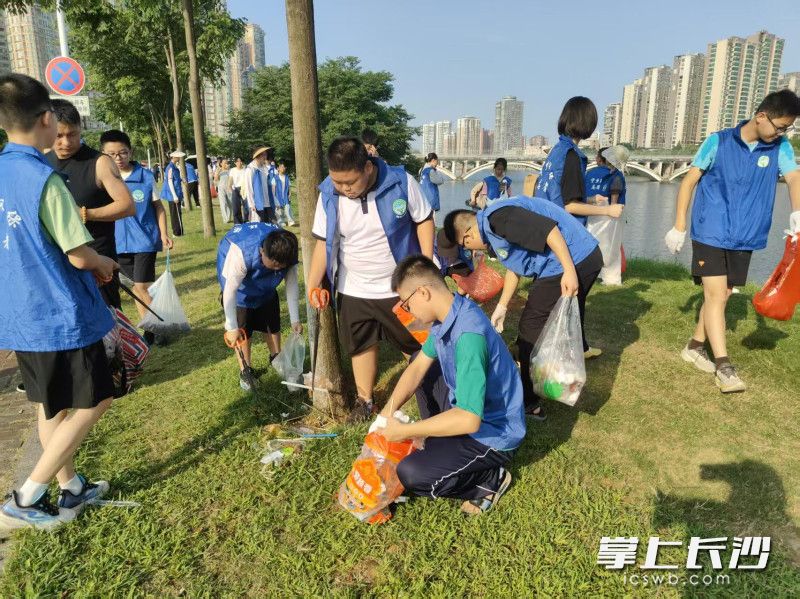 志愿者们在行动。 均为通讯员供图 志愿者们在行动。 均为通讯员供图