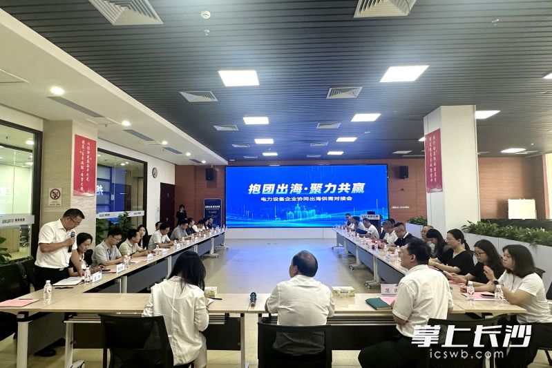 7月17日,长沙高新区麓谷产业园举行“抱团出海·聚力共赢”电力设备企业协同出海供需对接会。均为 湘江早报全媒体记者 黄荣佳 摄 7月17日,长沙高新区麓谷产业园举行“抱团出海·聚力共赢”电力设备企业协同出海供需对接会。均为 湘江早报全媒体记者 黄荣佳 摄