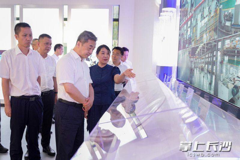 陈竞调研湖南高创稀土新材料有限责任公司。