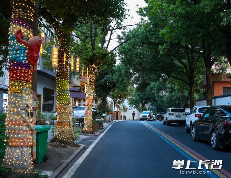 紫金北路完成改造后，既解决居民出行难题，又激活沿街市井商业。受访者供图