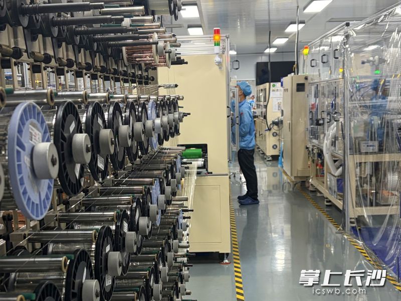 东莞市瑞良电子实现现代化管理,产品销往全球各地。 受访方供图 东莞市瑞良电子实现现代化管理,产品销往全球各地。 受访方供图