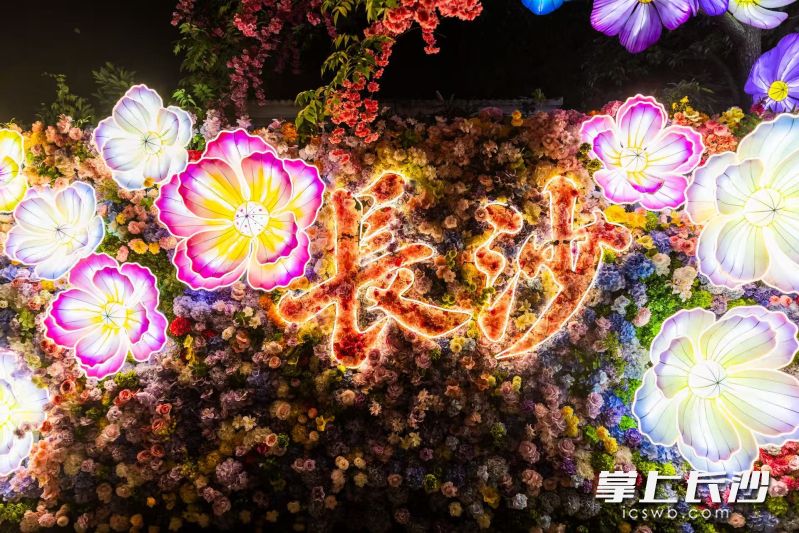 2026长沙武侠城大型主题灯展在洋湖国家湿地公园二期正式亮灯。 均为通讯员供图