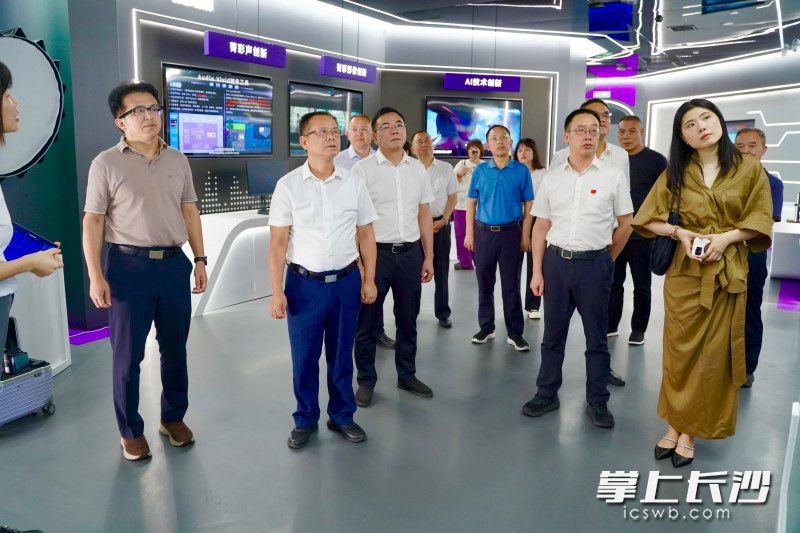 调研现场。 长沙晚报全媒体记者 刘晓敏 摄