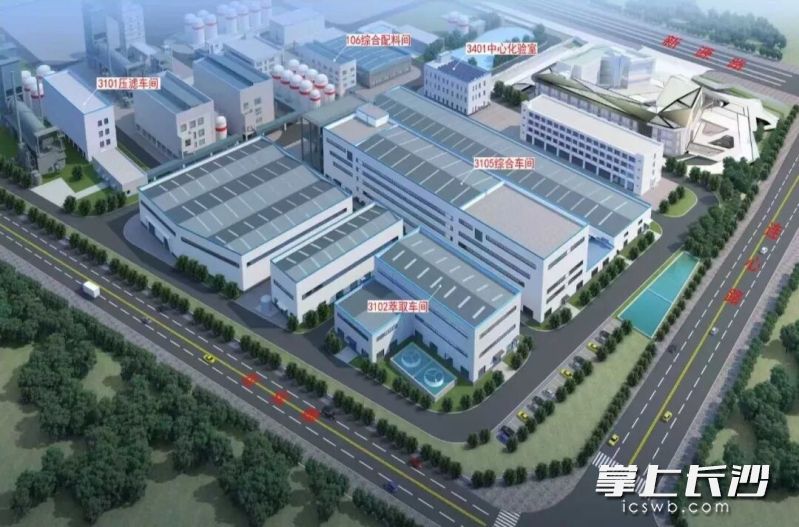 项目效果图。受访者供图 项目效果图。受访者供图