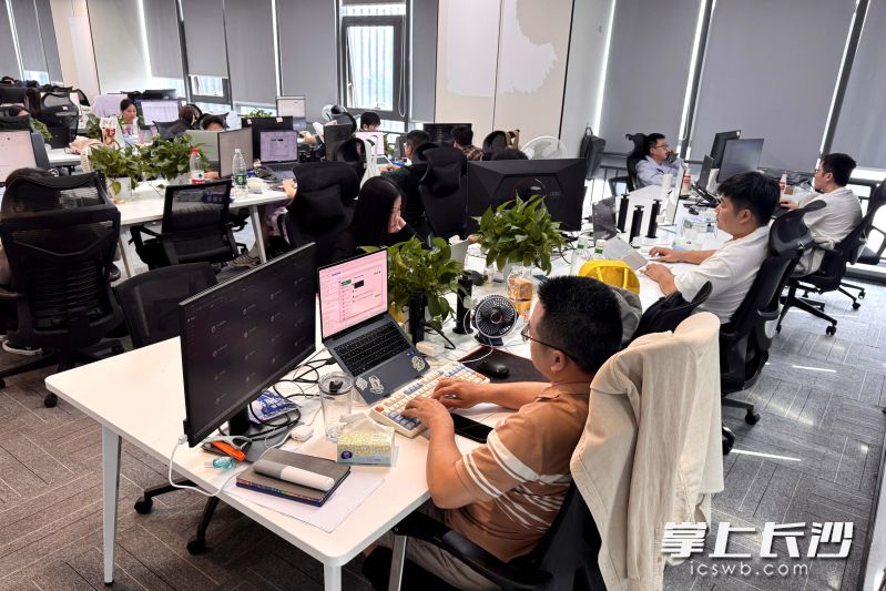 麦芽智创入驻世界计算·长沙智谷，园区为其五天协调出临时办公区。除署名外均为 受访企业 供图