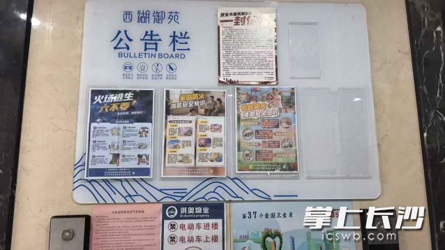 通过张贴海报等形式进行宣传。