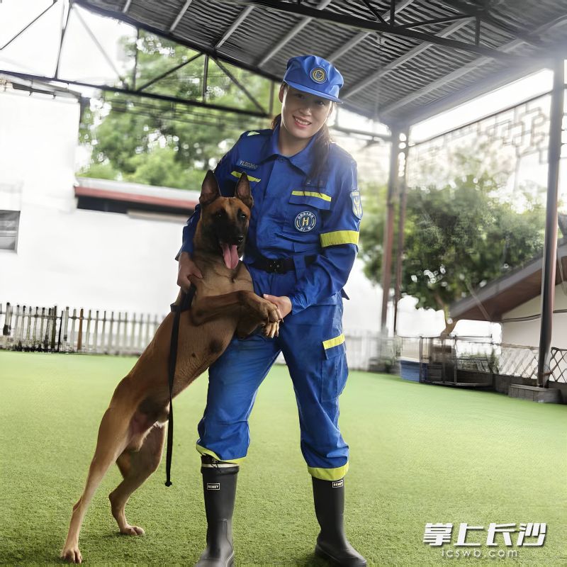 贺兰作为养犬的新手小白，在第一次与小库克见面时，被一眼选中。