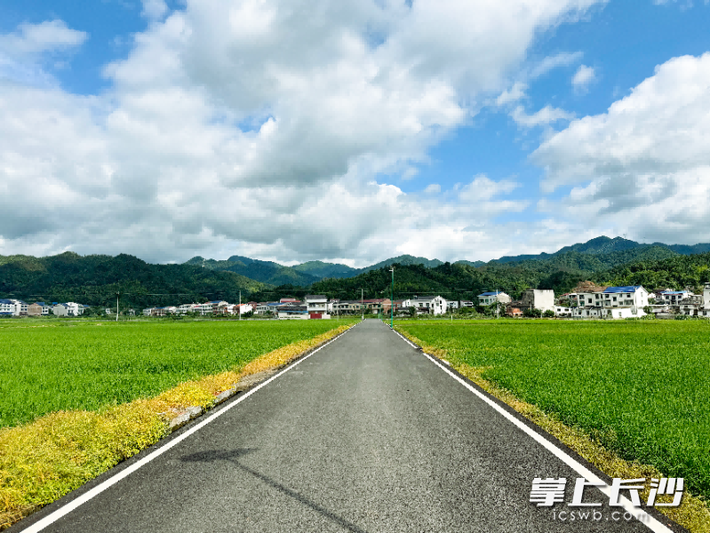 浏阳市永和镇,乡间公路纵贯稻海,长路向着青山延伸,一路尽览田园风光。 邵纪龙 摄 浏阳市永和镇,乡间公路纵贯稻海,长路向着青山延伸,一路尽览田园风光。 邵纪龙 摄