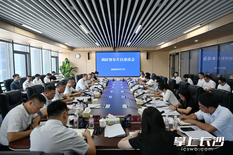 召开调研座谈会听取智谷片区建设发展情况。