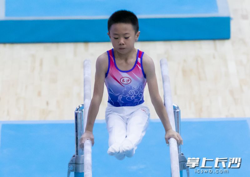 伍奕鸿在双杠比赛中。 伍奕鸿在双杠比赛中。