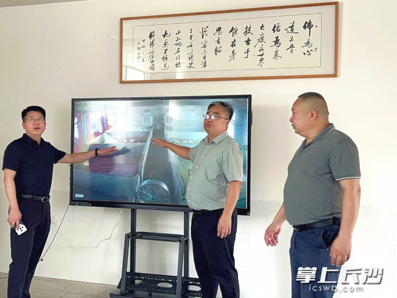 通过先进的视频系统,黄海桥(右二)向参观者介绍宁乡花猪的特色。均为长沙晚报全媒体记者 张禹 通讯员 阳志斌 摄影报道 通过先进的视频系统,黄海桥(右二)向参观者介绍宁乡花猪的特色。均为长沙晚报全媒体记者 张禹 通讯员 阳志斌 摄影报道