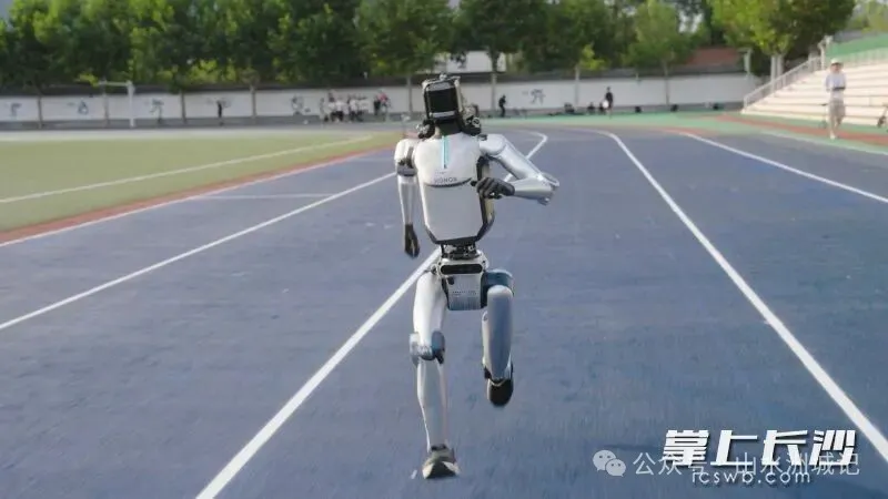 快跑中的“元气仔”。荣耀供图