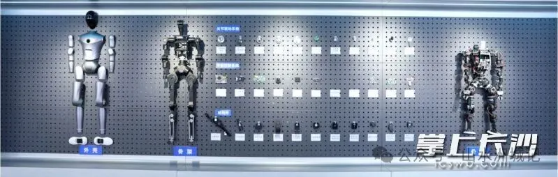 蓝思科技研发生产的机器人骨架。图源：湖南具身智能创新中心