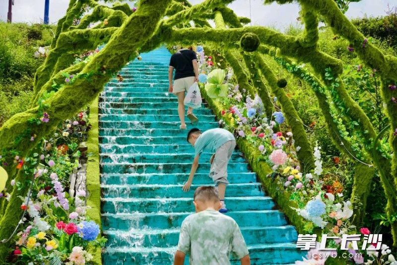 石燕湖消暑受市民青睐。