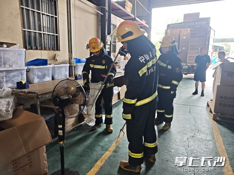 图为捕捉现场。 长沙晚报通讯员 王磊 摄 图为捕捉现场。 长沙晚报通讯员 王磊 摄
