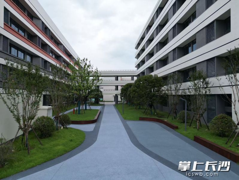 校园建筑与自然生态相融共生。 校园建筑与自然生态相融共生。