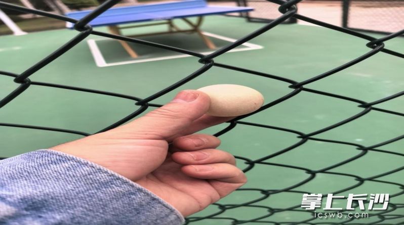 改造前的乒乓球场防护网。